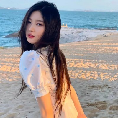 特禽鲨龙